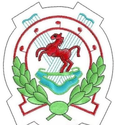 12 15 Agulhas Duplo Dois 2 Cabeças Máquina de bordado plana para chapéu de chapéu camiseta na OPEK
